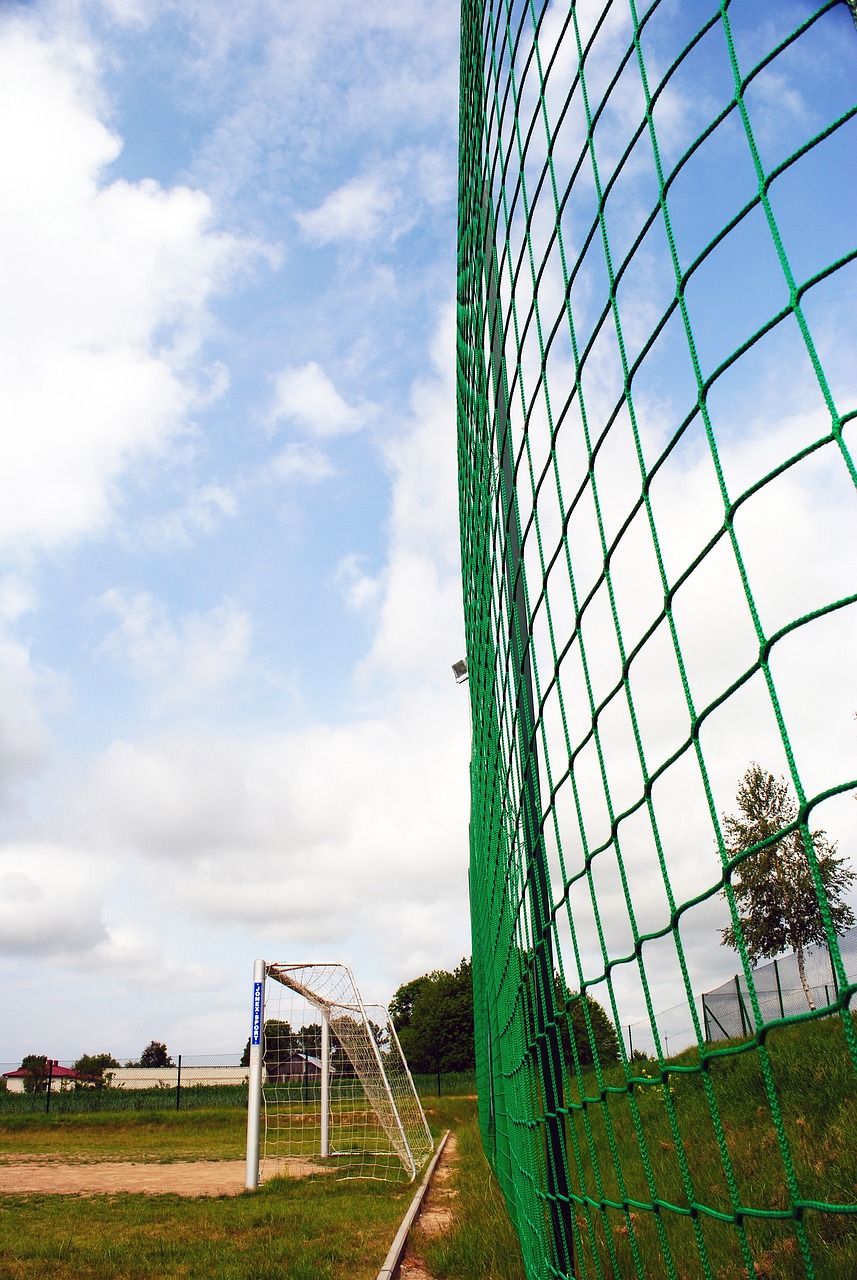 运动会的临 运动会的临