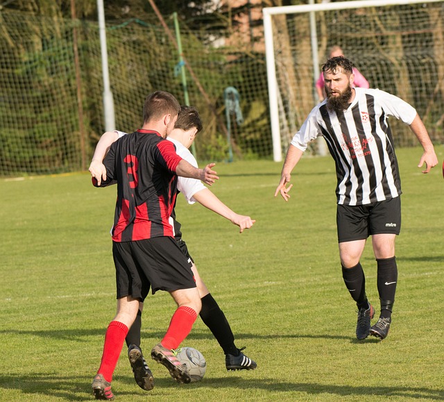 传统农业向 传统农业向