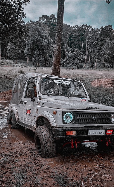 西蒙斯的情 西蒙斯的情