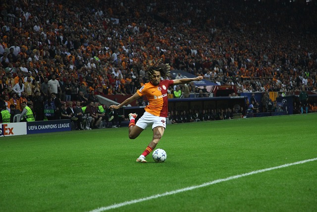 們長遠的發 們長遠的發