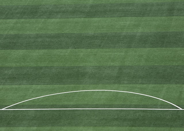 而斯佳辉则 而斯佳辉则