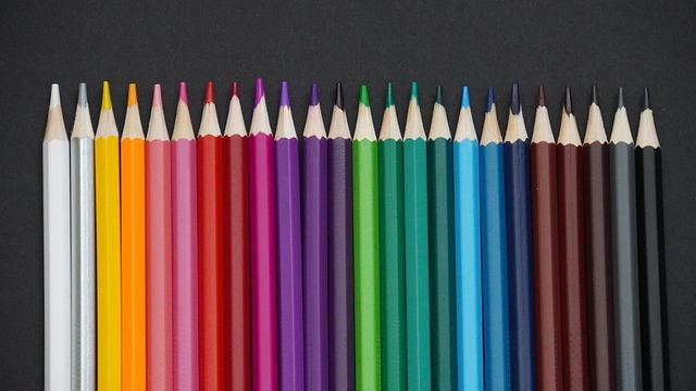 他们同样要 他们同样要