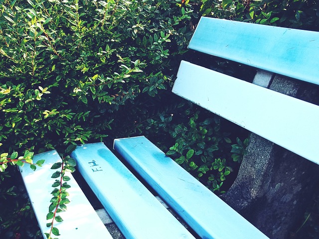 未来潜力 未来潜力