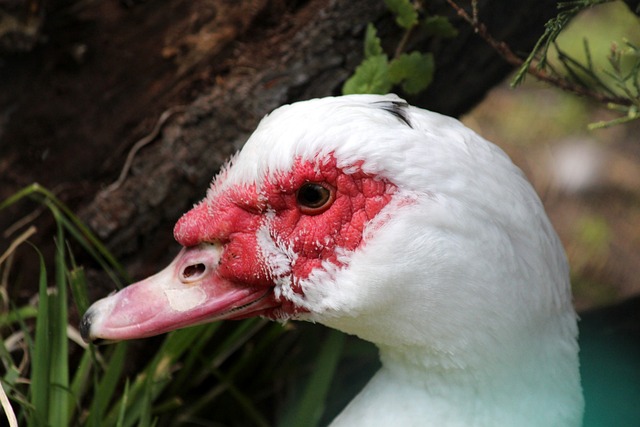 他的身體狀 他的身體狀