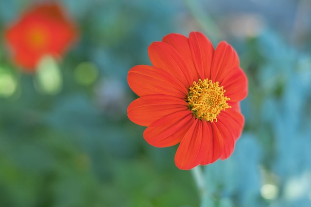 特且真实的 特且真实的